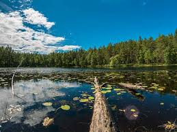 The name småland means the small lands. Upplev Smaland Har Ar Allt Du Kan Gora I Sommar Aftonbladet