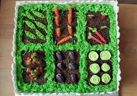 Vegetable Garden Cake Idee Gateau Image Gateau Fete Des Peres
