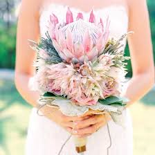 Cynaroides) one of the most popular proteas is the king protea. King Protea Bridal Bouquets That Are Crazy Striking