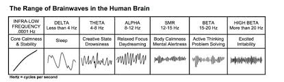 Neuro Clinic What Are The Brain Waves Frequencies Neuro