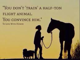 You Don T Train A Half Ton Flight Animal You Convince Him How Do You Build A Partnership With Your Horse Check Out Genev Horse Quotes Horses And Dogs Horses