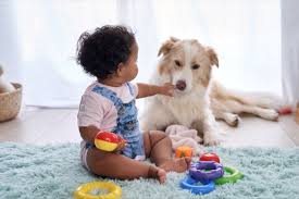 More images for pictures of cute little baby dogs » 27 Precious Photos Of Dogs And Babies That Will Melt Your Heart