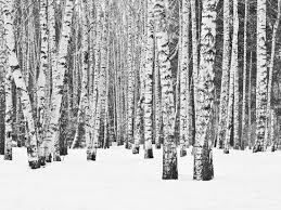 Earths volcano timelapse - Morssing Nycander