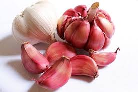 Vitamina b12 in uova, latte e formaggi, frutti di mare e pesci grassi; Quali Sono Gli Alimenti Che Rafforzano Il Sistema Immunitario