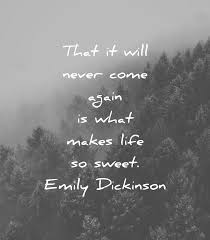 360 Death Quotes That Will Bring You Instant Calm The life which is unexamined is not worth living. 360 death quotes that will bring you