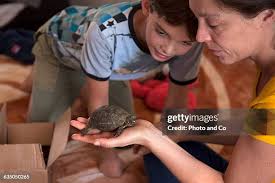 3,059 2014 36 10 Stock Photos, High-Res Pictures, and Images