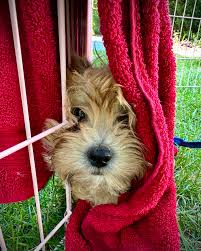 Kathy N Deets (@kathydeets) • Instagram photos and videos