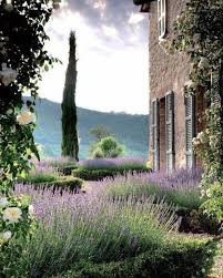 Mur De Cloture Plus De 120 Photos Pour Vous Planter De La Lavande Jardin Mediterraneen Beaux Jardins