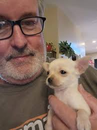 I dont always bark at strangers...But, yes I do!" Moose Morgan