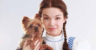 Encore to close 2017 season with Wizard of Oz