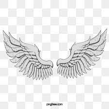 Wing Angel Wings Wing Feather Flight Fly Soar Png And Vector With Transparent Background For Free Download Wings Png Angel Wings Png Cartoon Angel Wings