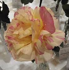 Hybrid tea rose 'lowell thomas' ( rosa) hybrid tea rose 'lowell thomas' (. Hybrid Tea Roses The Very First Modern Rosetypes