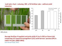 Ppt Sustainable Intensification Of Irrigated Rice