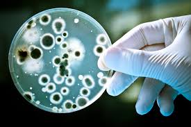 Microbiology Testing Services | Clongen Laboratories