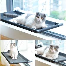 Maybe you would like to learn more about one of these? Cat Hammock Strong Sucker Window Cat Litter Box Balcony Wall Cat Cage Hanging Bed Pvc Tube Pet Cats Sunny Seat Breathable Bet Cat Beds Mats Aliexpress