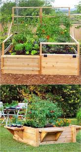 28 Best Diy Raised Bed Garden Ideas Designs Vegetable Garden Raised Beds Garden Beds Vegetable Garden Design