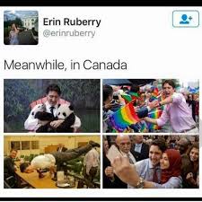 Pics Funny And Lol Image Canada Memes Canadian Memes Really Funny