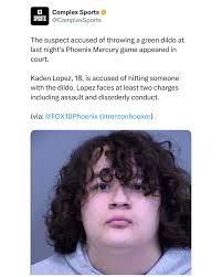 Kaden Lopez appeared in court facing charges including assault and  disorderly conduct (via: @fox10phoenix)