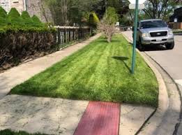 We did not find results for: National City Ca Lawn Care Service Lawn Mowing From 19 Rated Best 2021