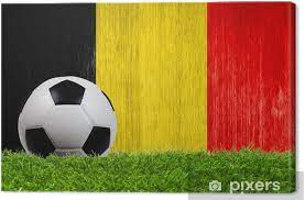 Freestyler martijn debbaut daagt niemand minder dan nederlands freestyler tom vegter uit voor de ultieme freestyle challenge. Canvas Voetbal Bal Op Gras Met Belgie Vlag Achtergrond Pixers We Leven Om Te Veranderen