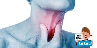 We did not find results for: Mengenal Hipotiroid Pada Anak Yang Bisa Hambat Pertumbuhan Tirto Id