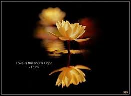Discover The Top 25 Most Inspiring Rumi Quotes Mystical Rumi Quotes On Love Transformation And Wisdom Beautiful Flowers Pretty Flowers Flowers