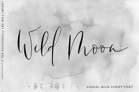 The font works on both systems mac and pc. Wild Moon Casual Script Font 102984 Script Font Bundles