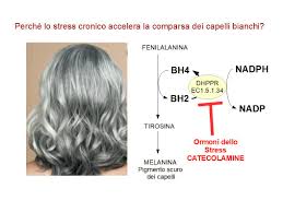 I nostri capelli hanno un follicolo pilifero, non visibile, dove si trovano le cellule pigmentate ricche di melanina, ovvero il pigmento che fornisce il colore ai nostri capelli. Stress E Capelli Bianchi Alimentazione E Nutraceutica