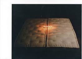 Image result for Combustio