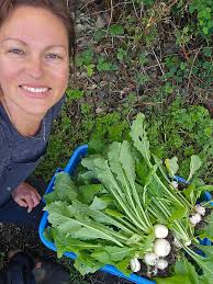 Anyone having issues with Shaw right now?