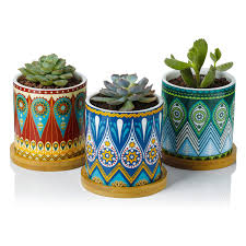 Amazon's choice for indoor planter pots with drainage. 3 1 Inch Morandi Color With Drainage Holes Flower Pot Container For Indoor Outdoor Set Of 6 Gdamal Succulent Pots Ceramic Small Plant Pots Pots Planters Container Accessories Patio Lawn Garden