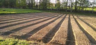 Tool for making garden rows. Johnny S Guide To Small Scale Bed Preparation Tools