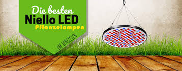Check spelling or type a new query. á… Niello Led Grow Lampen Test 2021 Alle Baureihen