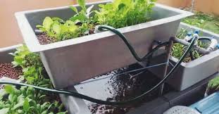 But not all diy aquaponic systems are created equal. Aquaponic Aquarium Diy Instructions Aquaponic
