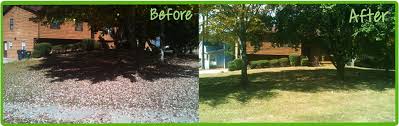 Hire the best lawn maintenance and mowing services in dacula, ga on homeadvisor. Anytime Lawn Services Cartersville Georgia Landscaping Lawn Maintenance Mowing Weed Eating