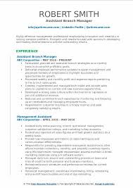 At citizen's bank, we offer career coaching, mentoring, and supportive managers open to listening to new ideas. Assistant Branch Manager Resume Samples Qwikresume