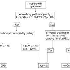 Flow Chart Of Inclusion And Diagnostic Work Up Copd