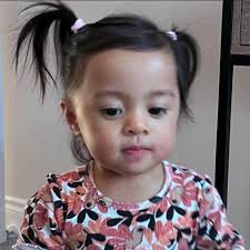 Namdokmai Mango Doublerootstock grafted ~2.5