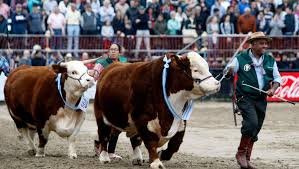 La tradicional Exposición Rural de Palermo se reprograma para 2022
