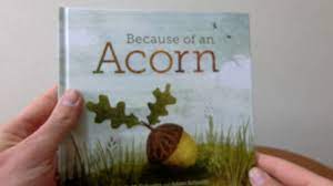 Learning and fun with acorns! Because Of An Acorn Activity Plan For Preschoolers