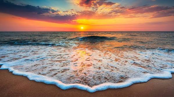 World Oceans Day facts and cruise line initiatives