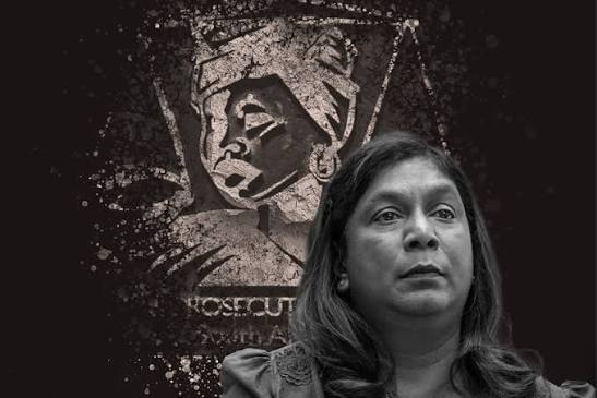 Pieter du Toit | Andrea Johnson's position is now untenable, and she must go | News24