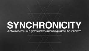 Synchronicity within this mind bending'scifi noir' a physicist that is bold folds period to travel into the past, looking to avoid a mysterious woman by slipping his invention. Synchronicity The Hidden Meaning Of Coincidences