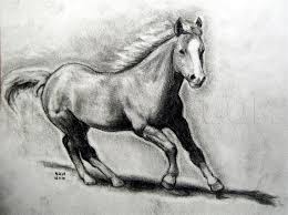 How to draw horses with easy step by step drawing lessons. How To Draw A Realistic Horse Draw Real Horse Step By Step Drawing Guide By Finalprodigy Dragoart Com