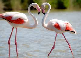 Международный олимпийский день, день какой сегодня праздник. 23 Iyunya 2020 Kakoj Segodnya Prazdnik Imeniny I Primety Korrespondent Net