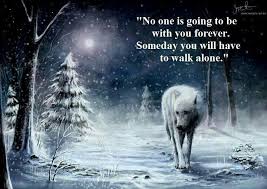 Gallery For Lone Wolf Sayings Lone Wolf Quotes Wolf Quotes Lone Wolf