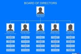 003 Ic Hierarchical Organizational Chart Template Word Ideas