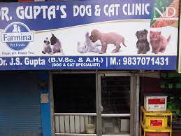 This adorable newfie pup is the latest addition to the varshavski family. Top 10 Veterinarians In Sasni Gate Aligarh Best Veterinary Doctors Book Appointment Online Justdial
