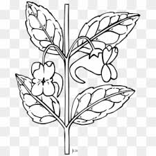 Flower Png Transparent For Free Download Page 13 Pngfind Arap yasemin mangaka karakter anime, sampaguita, mor, diğerleri, çizgi film png. flower png transparent for free
