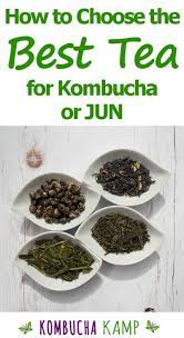 We did not find results for: Best Tea For Kombucha How To Choose A Tea Blend Recipe